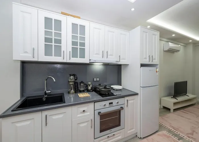 Bosphorus Exclusıve Resıdence Appart hôtel Istambul