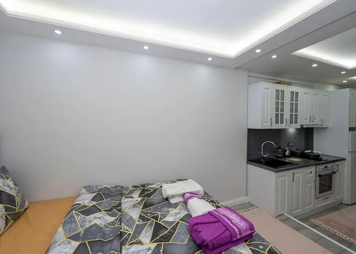 Bosphorus Exclusıve Resıdence Appart hôtel
